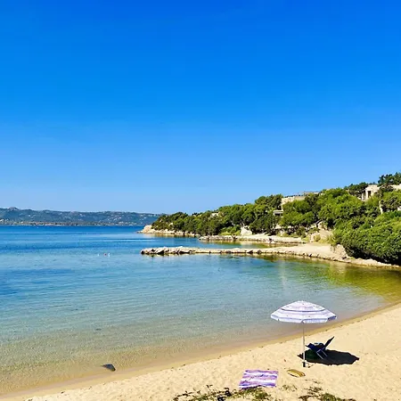 Palma