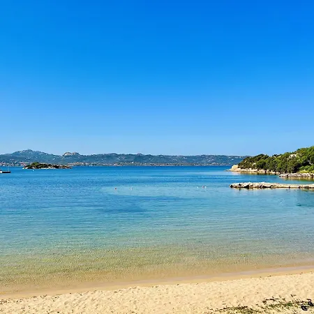 Palma *